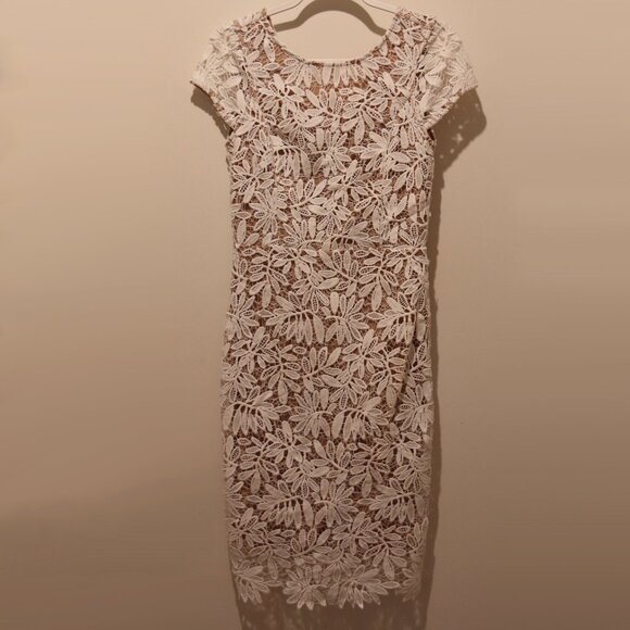 Right Sheer, Right Now White Lace Bodycon Dress - Picture 4 of 8